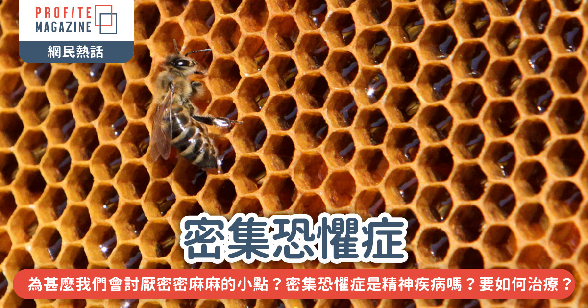 一隻蜜蜂在蜂巢上