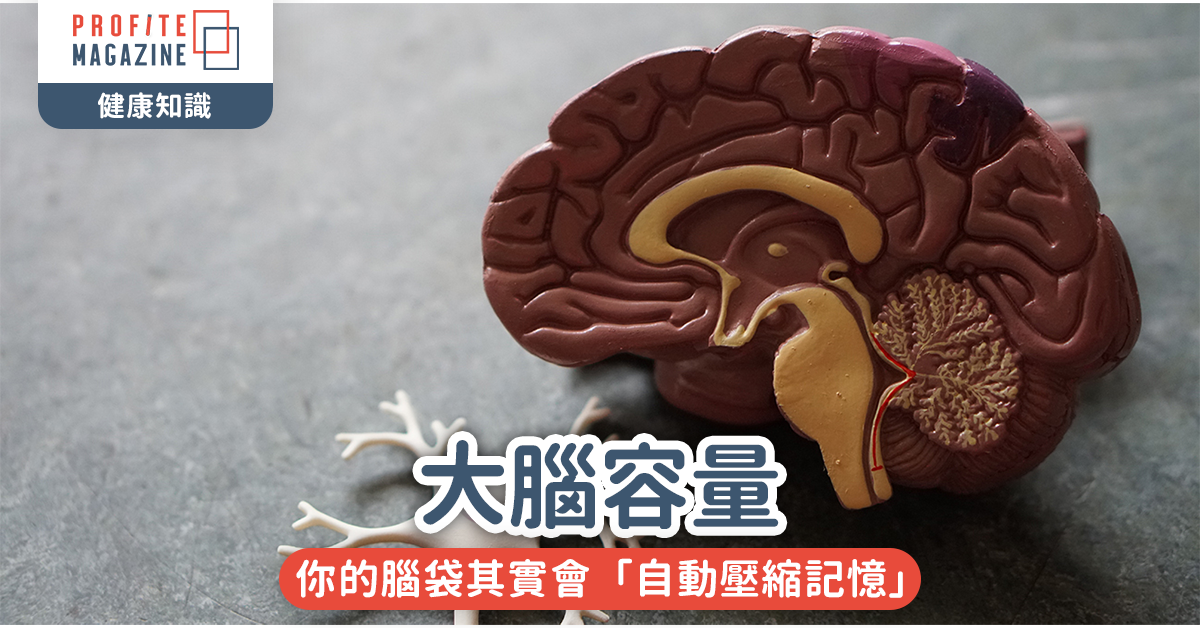 大腦容量｜你的腦袋其實會「自動壓縮記憶」