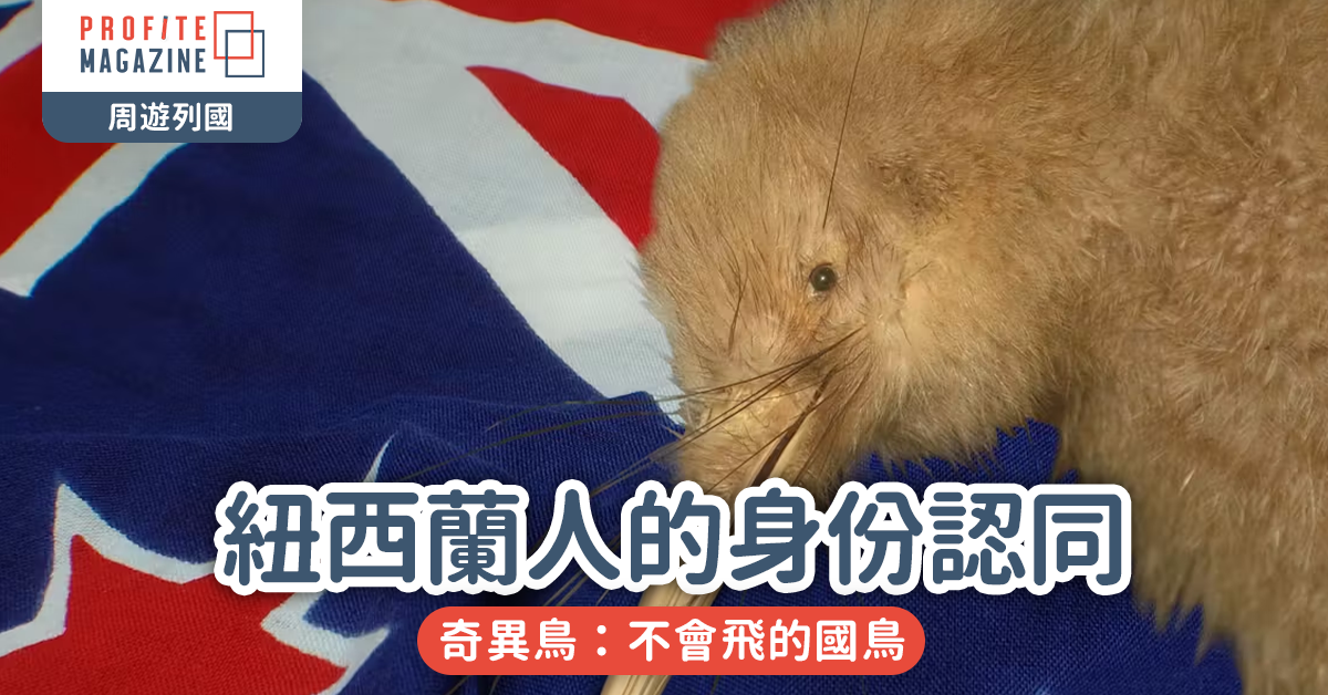紐西蘭｜奇異鳥：不會飛的國鳥