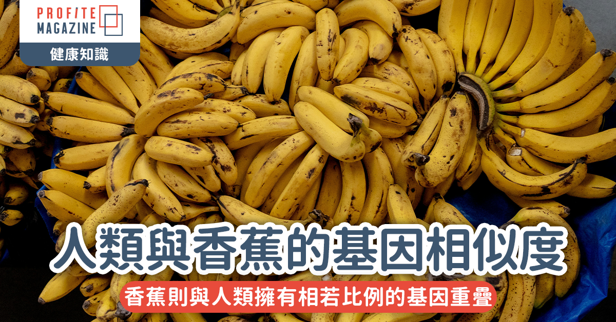人類與香蕉的基因相似度