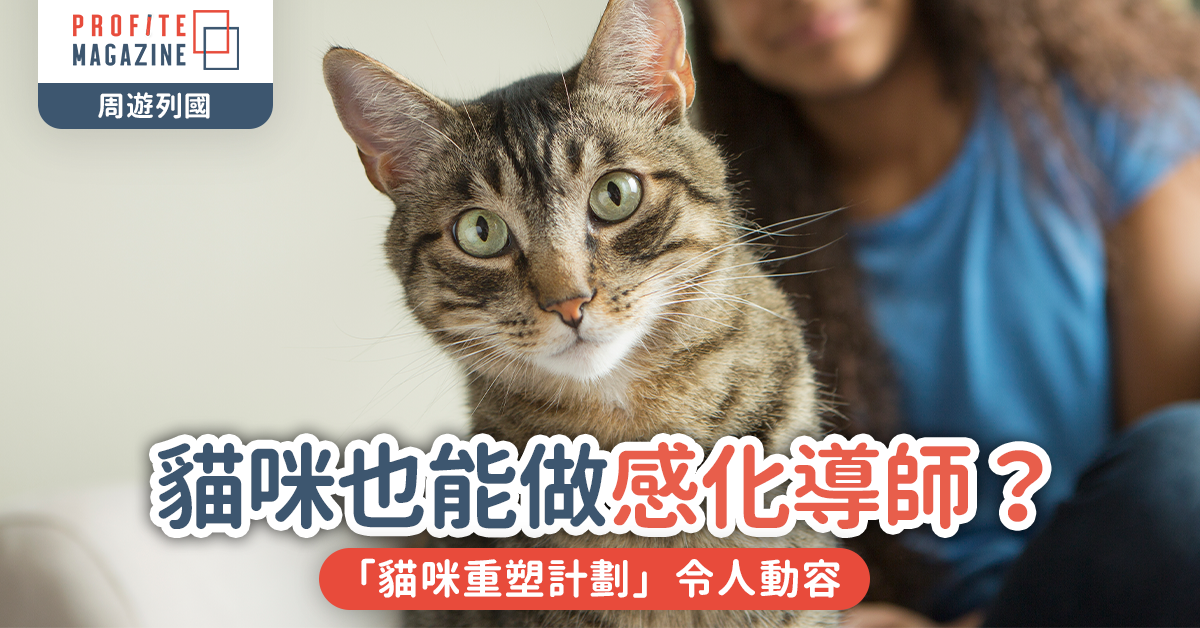 貓咪也能做感化導師？｜美國監獄內的「貓咪重塑計劃」令人動容