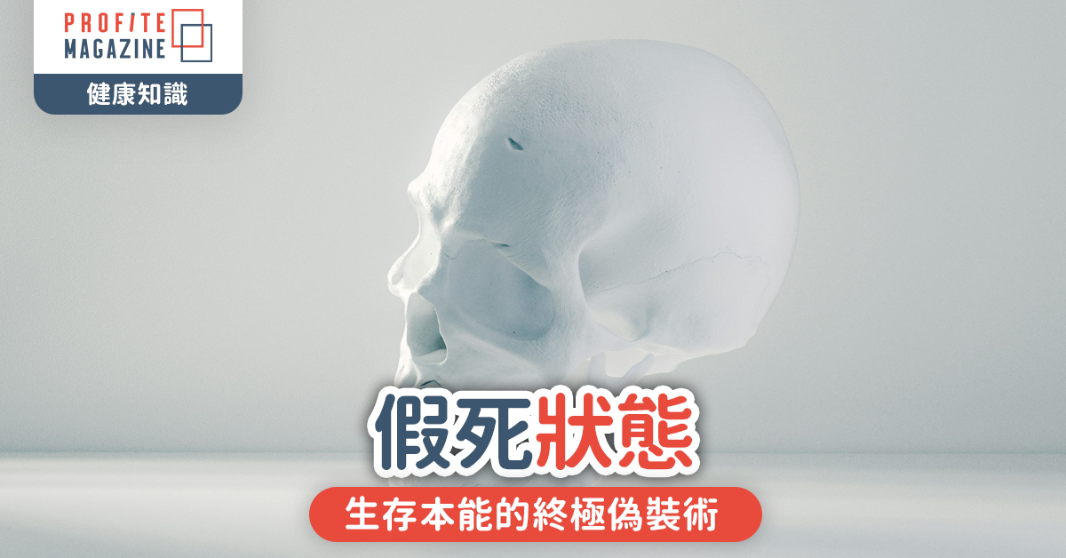 假死狀態｜生存本能的終極偽裝術