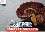 大腦容量｜你的腦袋其實會「自動壓縮記憶」