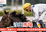 三屆香港馬王「金鎗六十」光榮退役 齊聚沙田馬場參與榮休歡送儀式