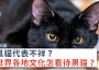 一隻大黑貓