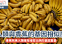 人類與香蕉的基因相似度